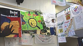 IMG_6124