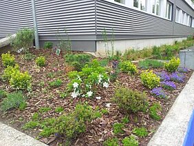 20130517_134201