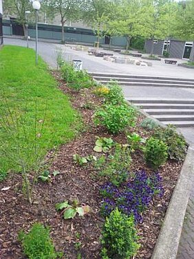 20130517_134122