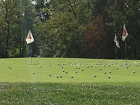 IMG_5612