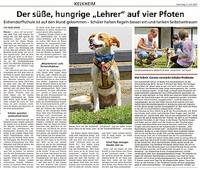 HK vom 03.07.2021 - Schulhund