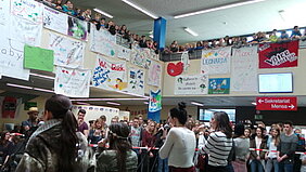 Cimorelli-4